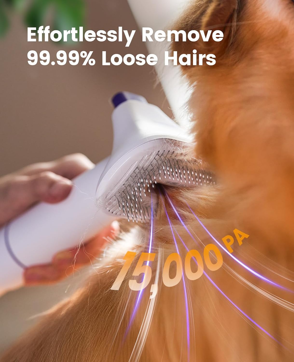 oneisall Hondenhaarstofzuiger  - Grooming Kit recensie en prijs